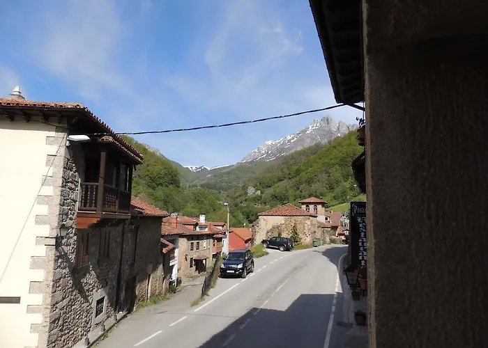 Han/Misafirhane Maximo