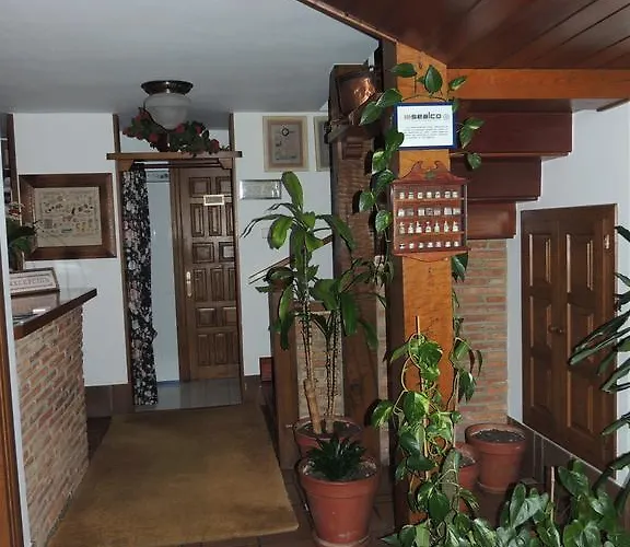 Han/Misafirhane Maximo