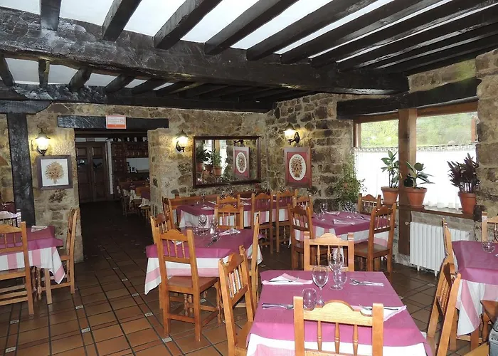 Han/Misafirhane Maximo 3*